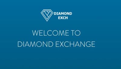 The Key to Cricket Success in 2023 - The Diamond Exchange ID.